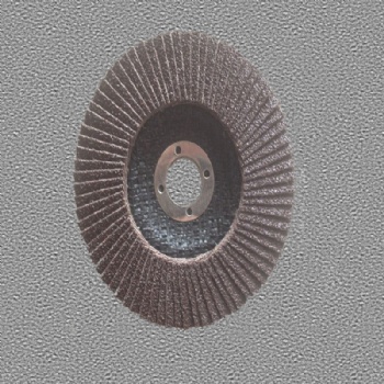 Flap Disc With Silicon Carbide